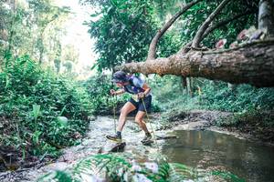 BIB: 
                            <button type="button" onclick="openModal(25434143)" class="btn btn-primary btn-sm float-right btn-popup" data-toggle="modal" data-target=".modal-high-quality">
                        <i class="fas fa-shopping-cart"></i> Add to Cart
                    </button>
                                            <button type="button" onclick="isThisMe(25434143, true)" class="btn btn-success btn-sm float-right btn-popup btn-isme hidden" data-toggle="tooltip" data-placement="bottom" title="นี่คือรูปของคุณใช่ไหม คลิกที่นี่เพื่อเอาเข้าอัลบั้ม">
                        <i class="fas fa-plus"></i> Add to album
                    </button>
                    <button type="button" onclick="isThisMe(25434143, false)" class="btn btn-warning btn-sm float-right btn-popup btn-isnotme hidden">
                        <i class="fas fa-ban"></i> Remove from album
                    </button>